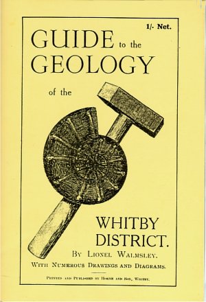 Geology book cover image