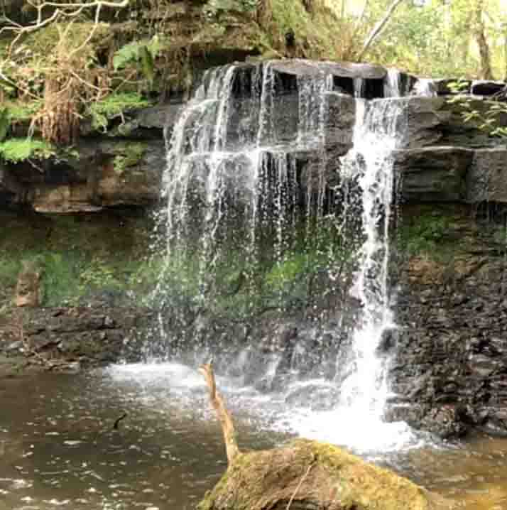 Screen capture of video by Sean Walmsley, May 2019